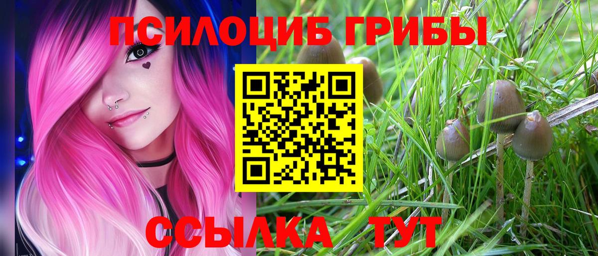 Галлюциногенные грибы ЛСД  хочу наркоту  Ипатово  Вход с VPN  Псилоцибиновые грибы Cubensis 